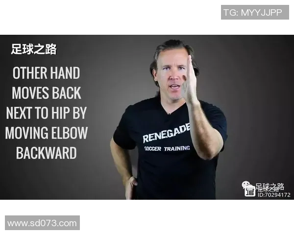 足球大师的智慧与技艺解析助你成为球场上的传奇人物