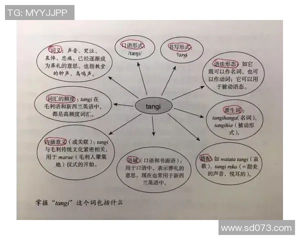 如何用英语表达踢足球这一运动的正确说法和相关词汇解析 如何用英语表达踢足球这一运动的正确说法和相关词汇解析