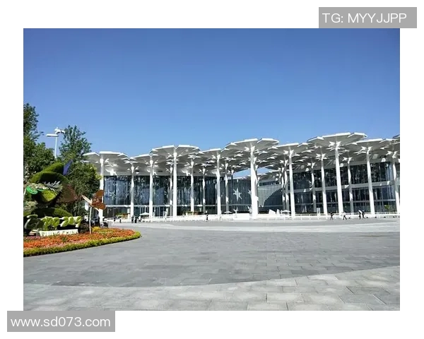 和平精英V5战队逆袭之路全景纪实揭示团队成长与挑战的真实故事